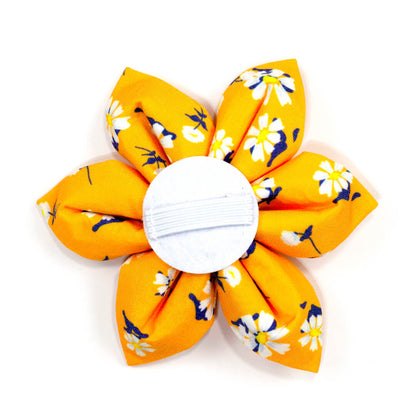 Apricot Daisy Dog Flower - Waggy Pups