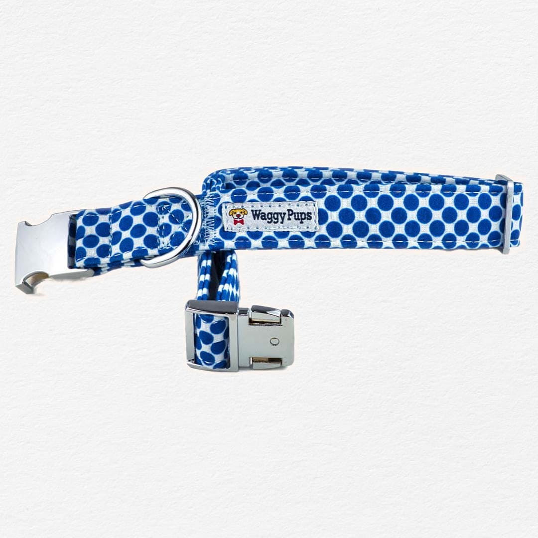Berry Polka Dot Dog Flower Collar