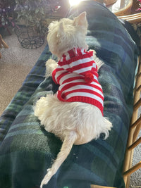 Thumbnail for Guinevere Red and White Stripe Dog Sweater