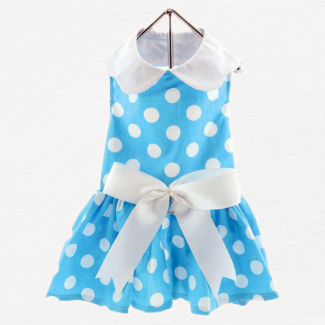 Blue Polka Dot Dog Dress with Matching Leash