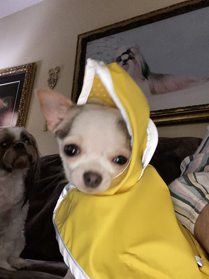 Yellow Clouds Reversible Pocket Dog Raincoat