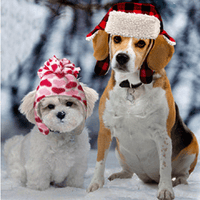 Thumbnail for Buffalo Plaid Hat - Limited Edition - Waggy Pups