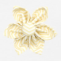 Thumbnail for Butterscotch Chevron Dog Flower Collar