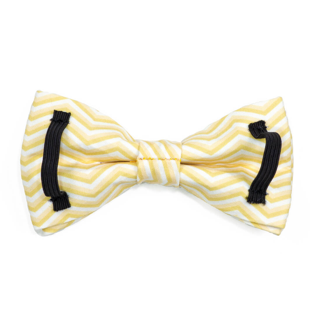 Butterscotch Chevron Dog Bow Tie - Waggy Pups