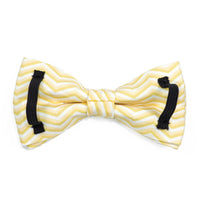 Thumbnail for Butterscotch Chevron Dog Bow Tie - Waggy Pups