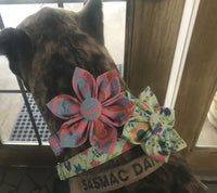 Thumbnail for Paisley Taffy Dog Flower Collar