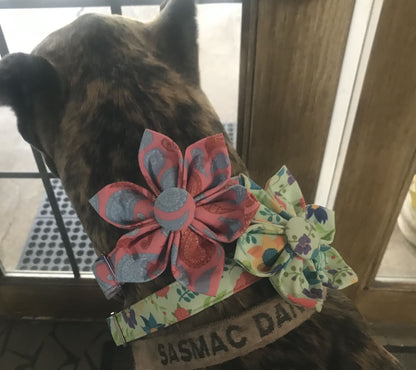 Vibrant Bouquet Dog Flower Collar
