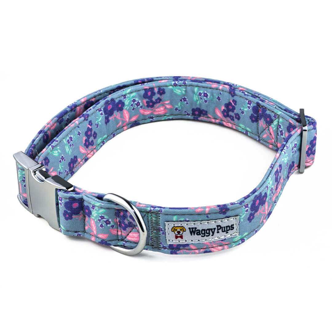 Cerulean Violets Dog Collar - Waggy Pups