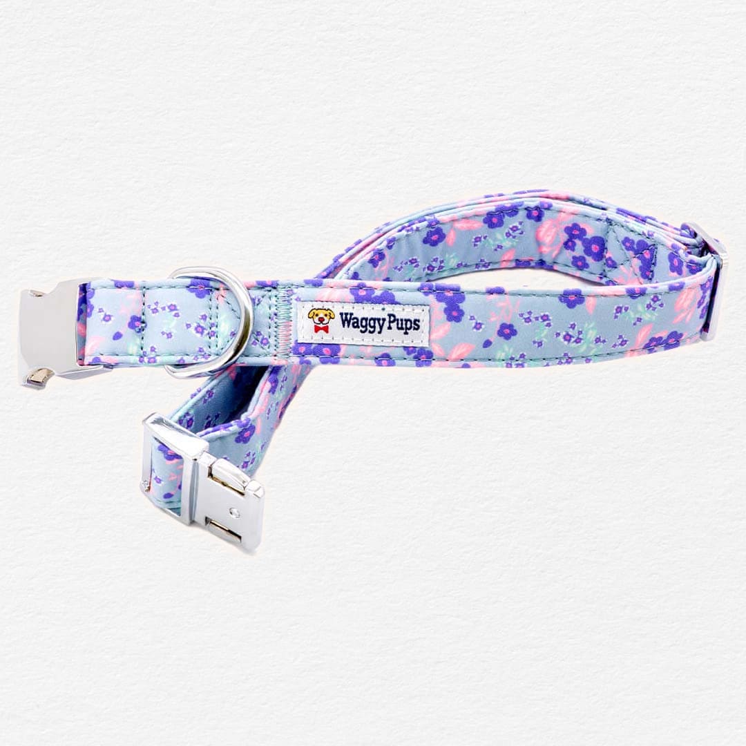 Cerulean Violets Dog Bow Tie Collar