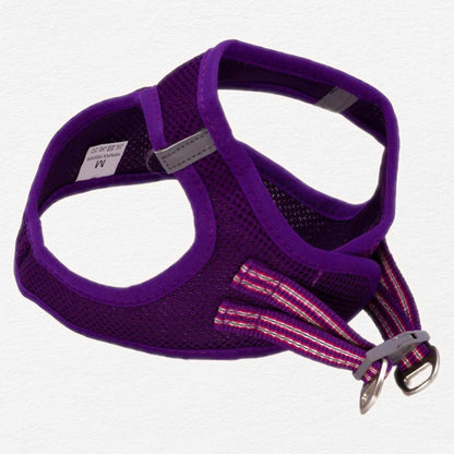 Dogonet Purple Dog Harness