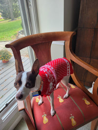 Thumbnail for Guinevere Red Hearts and Snowflakes Dog Sweater