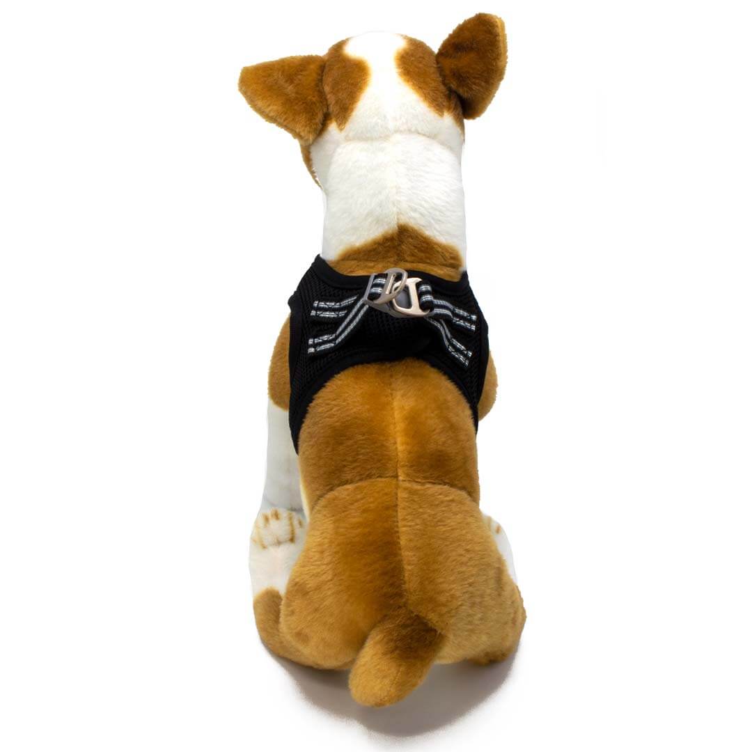 Dogonet Black Dog Harness