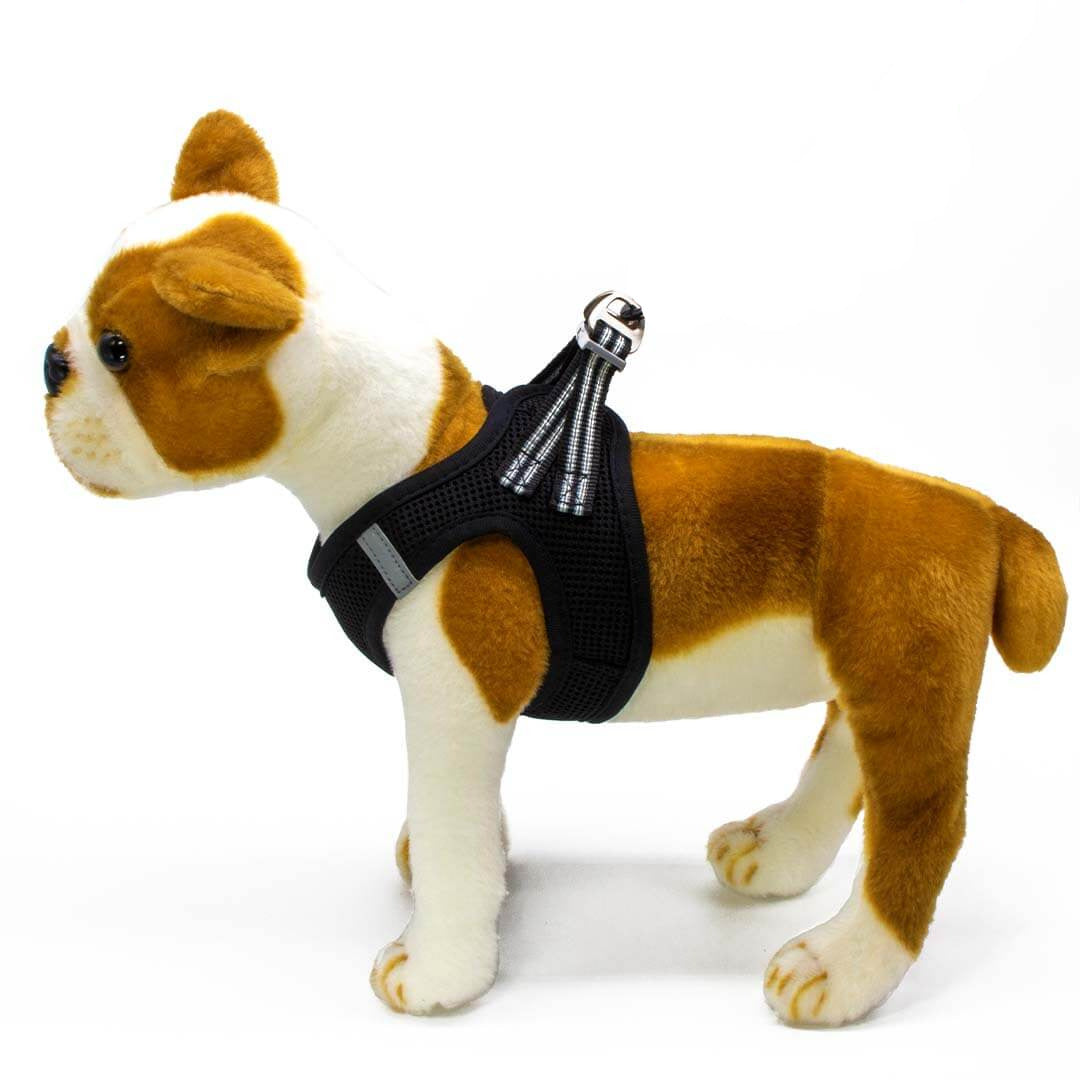 Dogonet Black Dog Harness