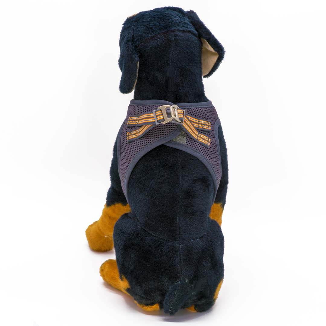 Dogonet Gray Dog Harness