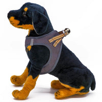 Thumbnail for Dogonet Gray Dog Harness