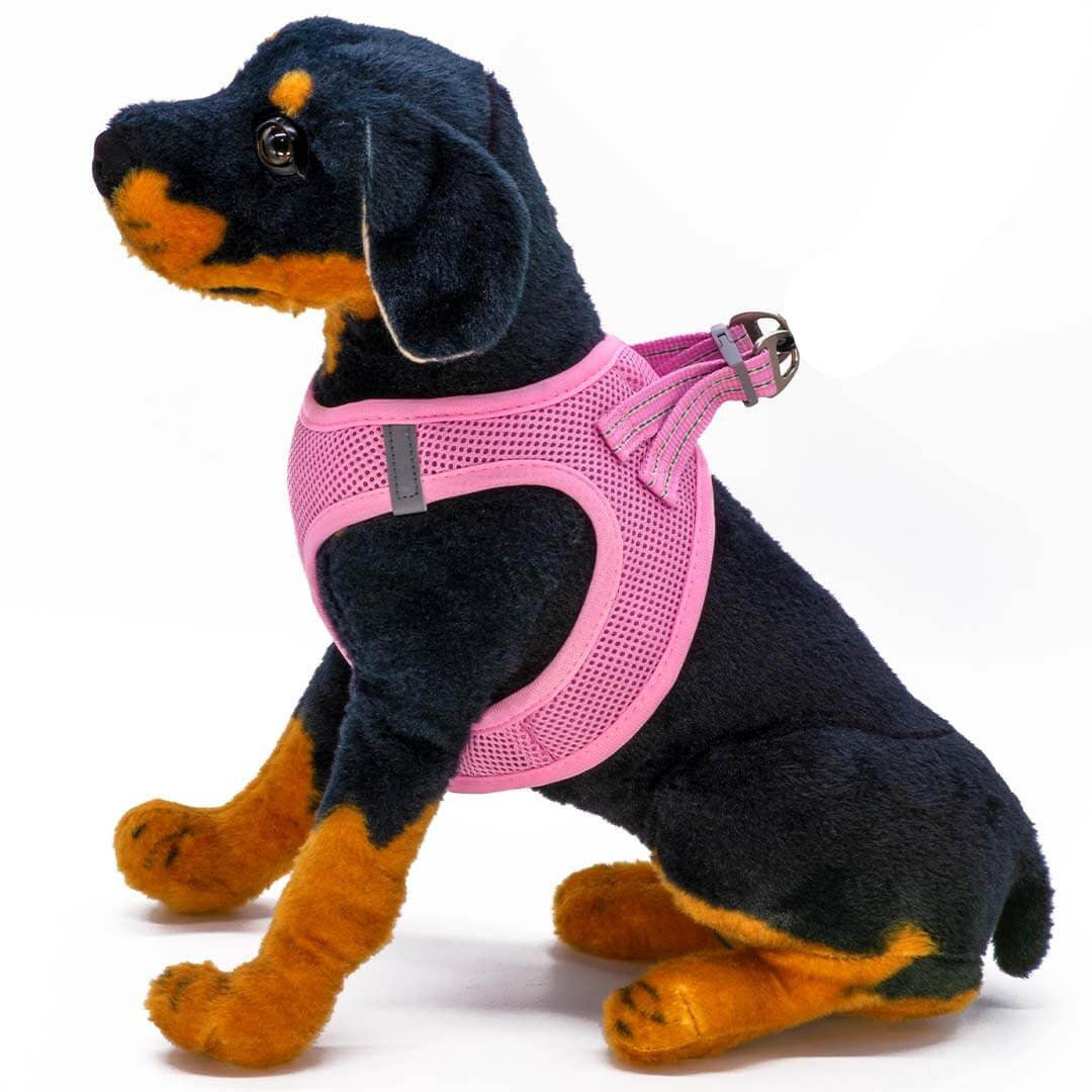 Dogonet Pink Dog Harness