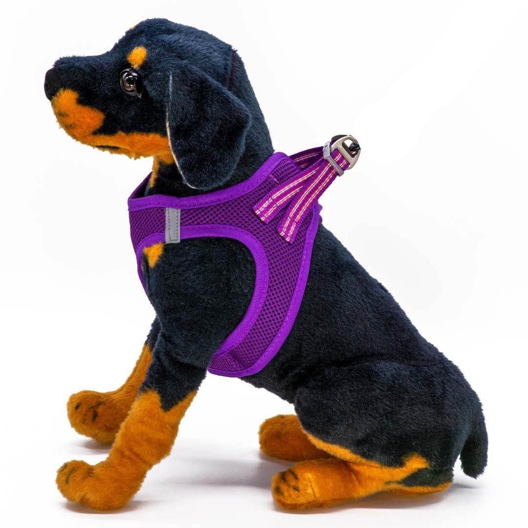 Dogonet Purple Dog Harness