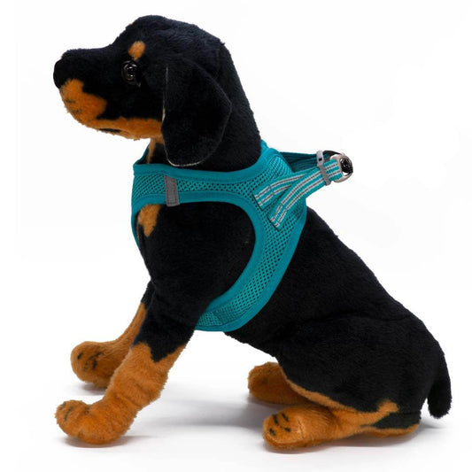 Dogonet Teal Dog Harness