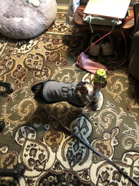 Thumbnail for Black and White Houndstooth Dog Harness Coat