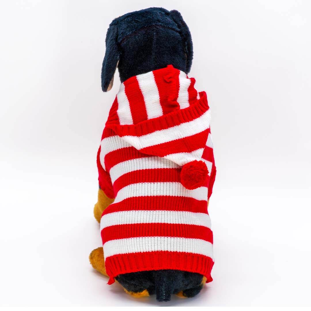 Guinevere Red and White Stripe Dog Sweater