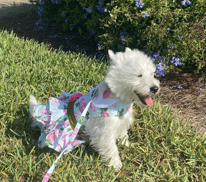 Pink Rose Dog Dress with Matching Leash