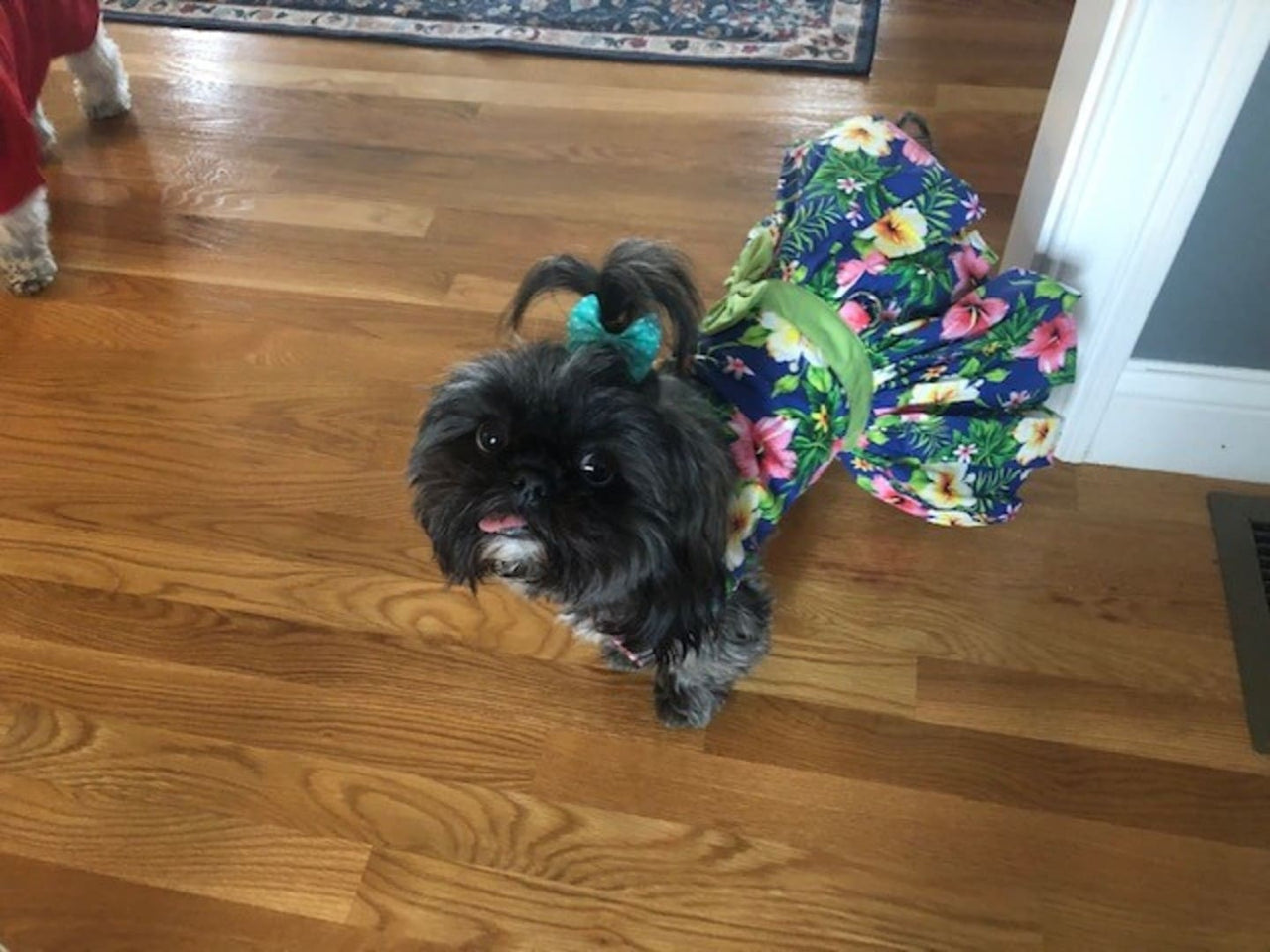 Blue Hibiscus Dog Dress with Matching Leash