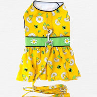 Thumbnail for Ladybugs and Daisies Dog Dress with Matching Leash