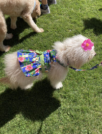 Thumbnail for Blue Hibiscus Dog Dress with Matching Leash