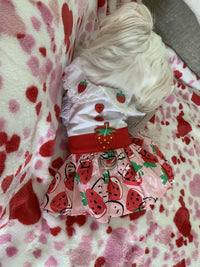 Thumbnail for Strawberry Picnic Dog Dress with Matching Leash
