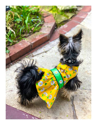 Thumbnail for Ladybugs and Daisies Dog Dress with Matching Leash