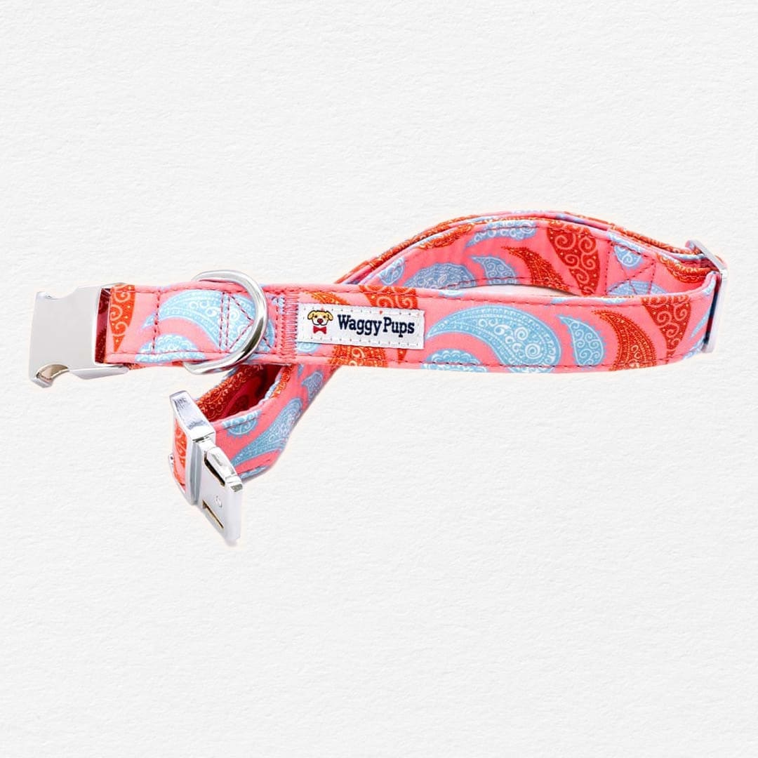 Paisley Taffy Dog Flower Collar