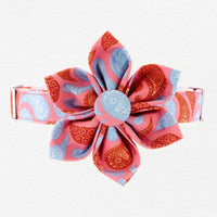 Thumbnail for Paisley Taffy Dog Flower Collar