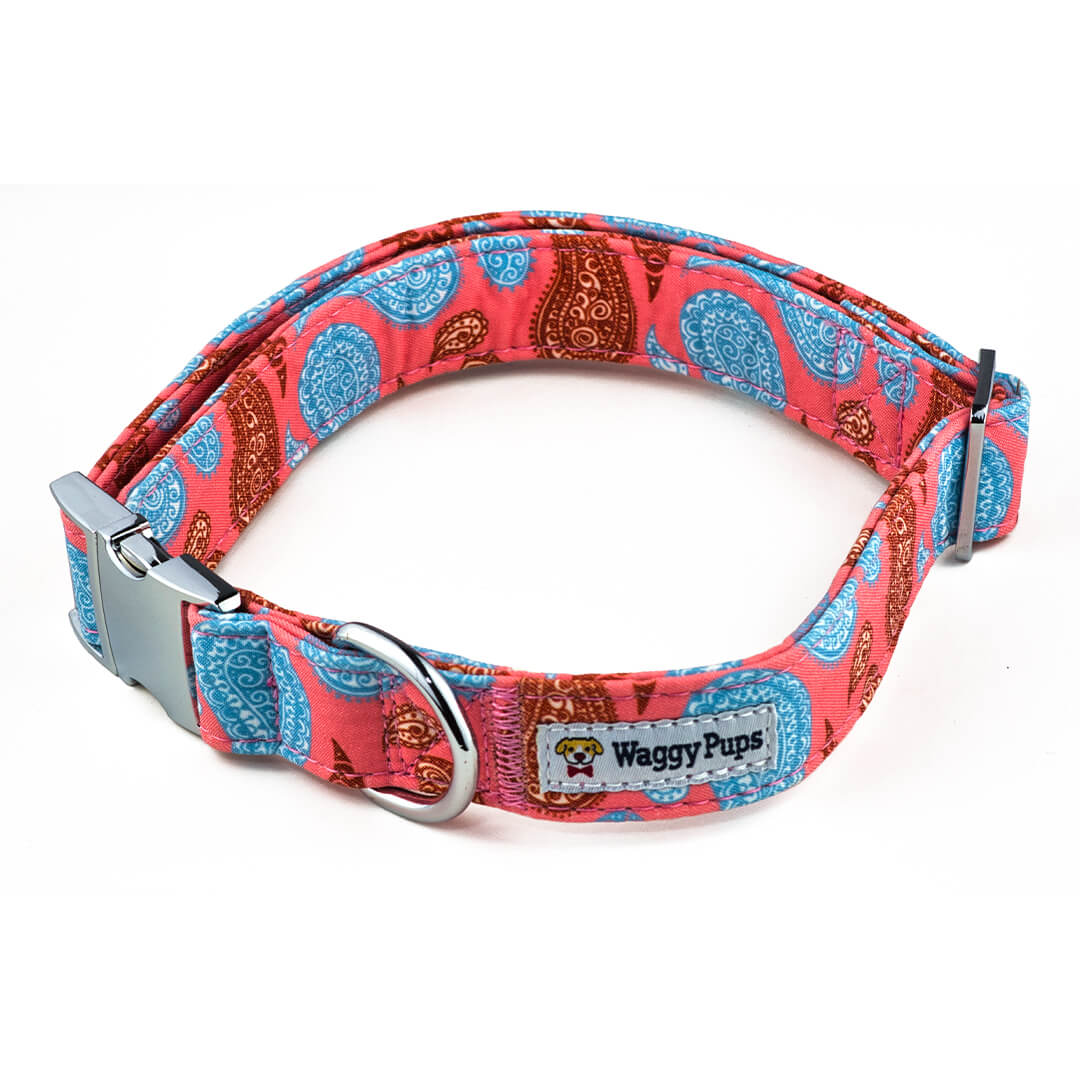 Paisley Taffy Dog Collar X Small 8 1 2 to 11 1 2 Dog Collar Dog Collar Unique Puppy Collar Designer Dog Collar Doggie Collar