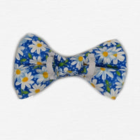 Thumbnail for Sky Blue Daisy Dog Bow Tie