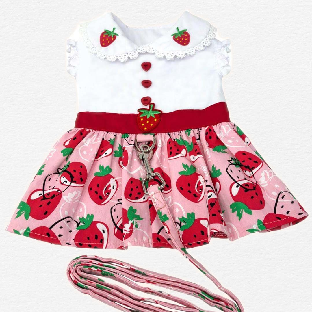 Strawberry Picnic Dog Dress with Matching Leash