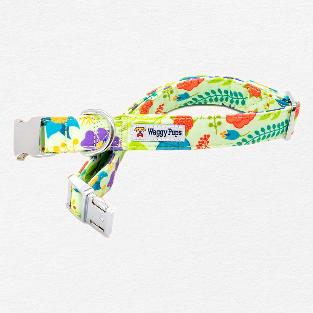 Vibrant Bouquet Dog Flower Collar