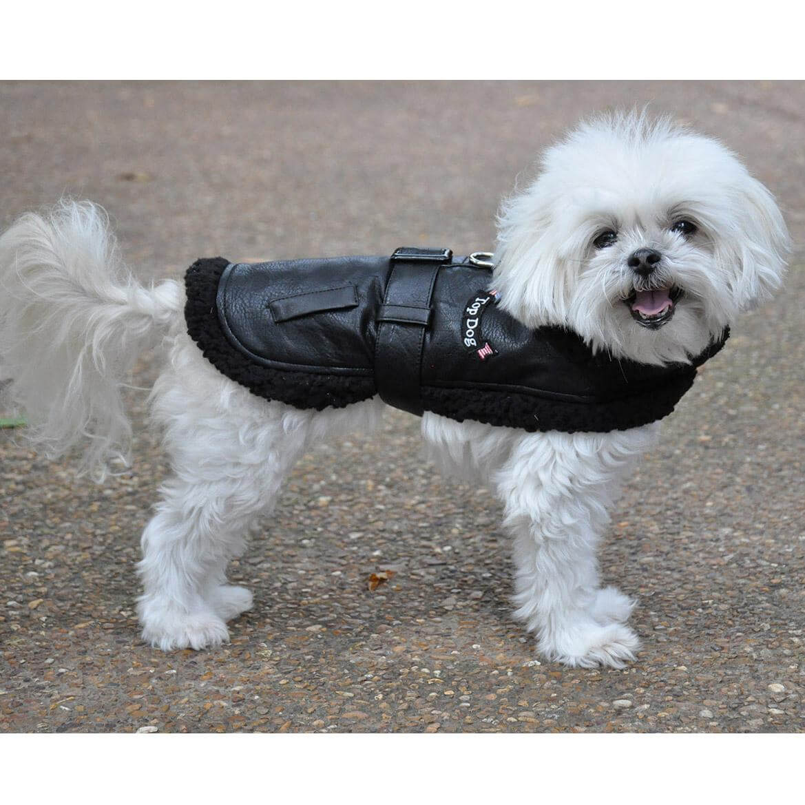 Top Dog Classic Bomber Sherpa with Matching Leash - Waggy Pups