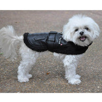 Thumbnail for Top Dog Classic Bomber Sherpa with Matching Leash - Waggy Pups
