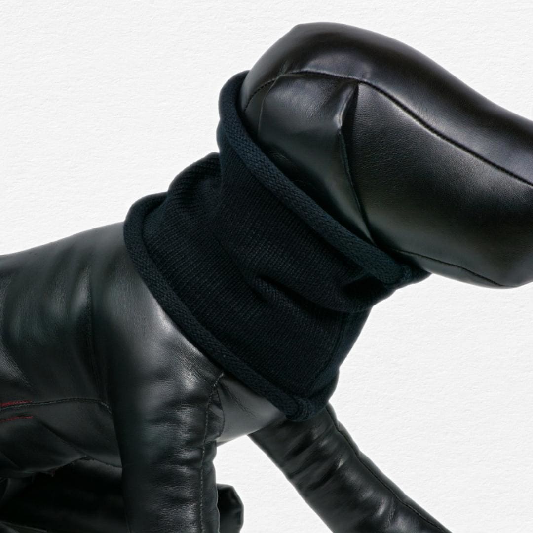 Raven Cotton Dog Snoodie
