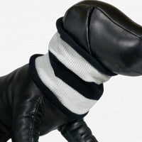 Thumbnail for Raven and Snow Stripe Cotton Dog Snoodie