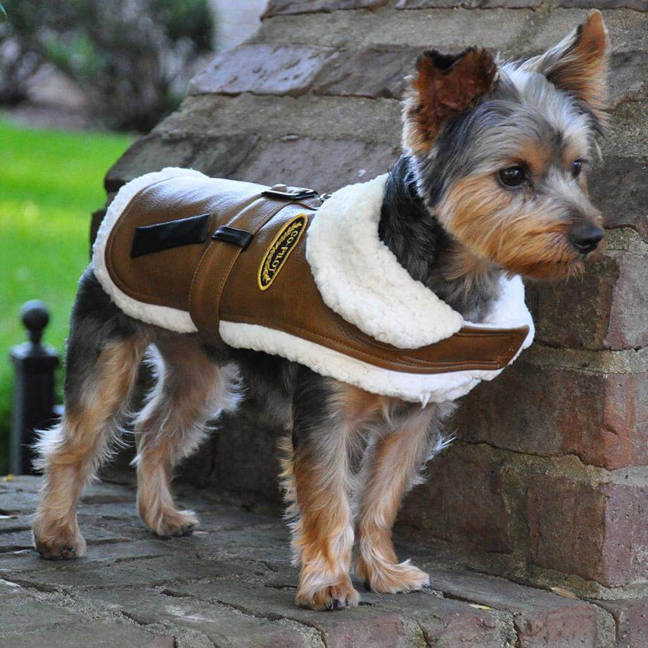 Co-Pilot Classic Bomber Sherpa with Matching Leash - Waggy Pups