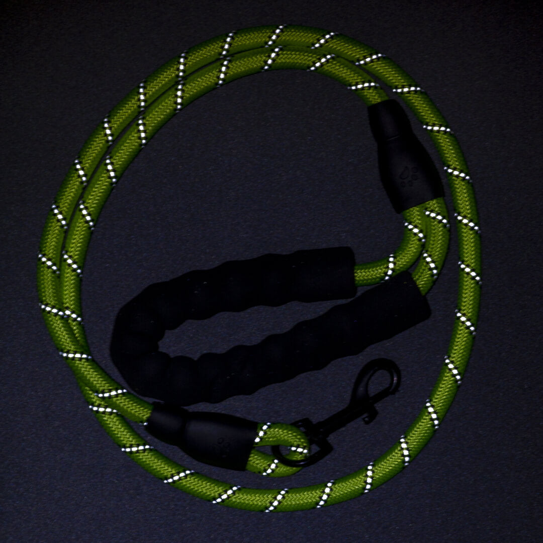 5ft Green Reflective Rope Dog Leash - Waggy Pups