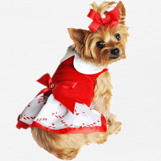 Dog Dress with Matching Leash