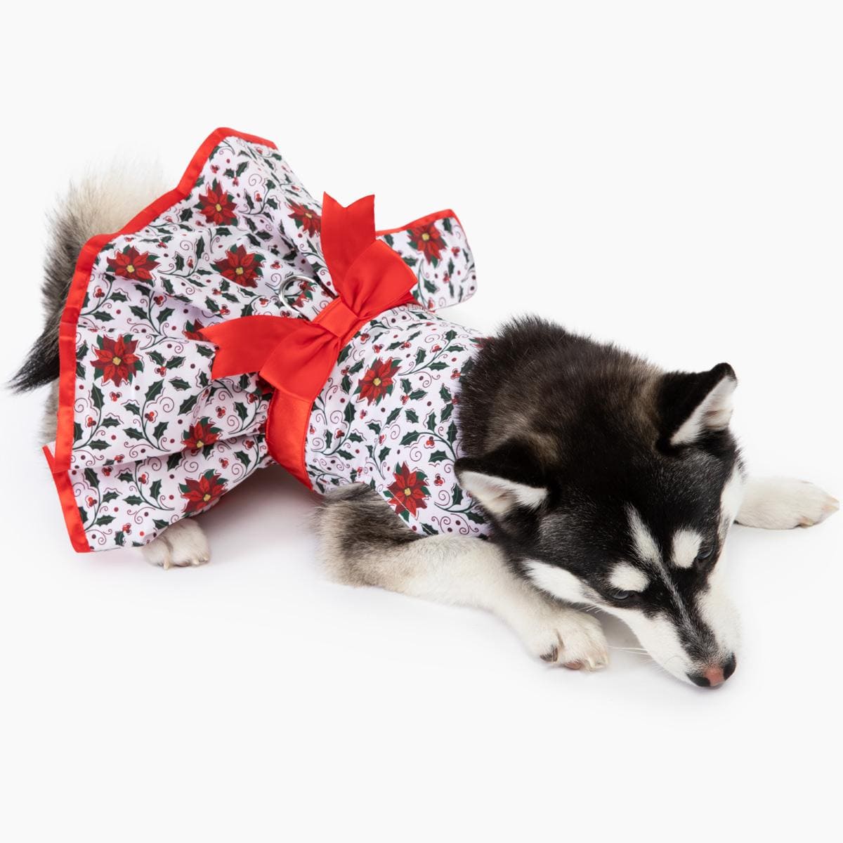 Dog Dress with Matching Leash