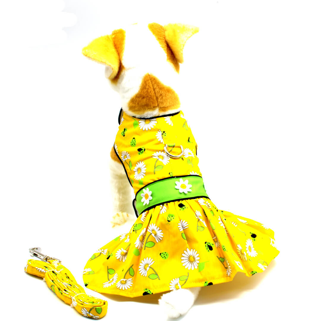 Dog 2024 easter dress