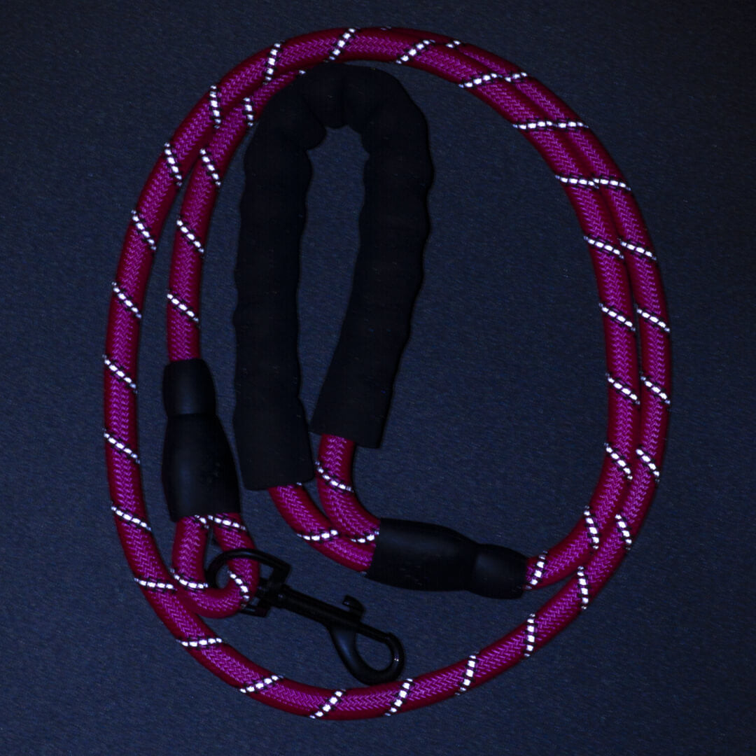 5ft Pink Reflective Rope Dog Leash - Waggy Pups