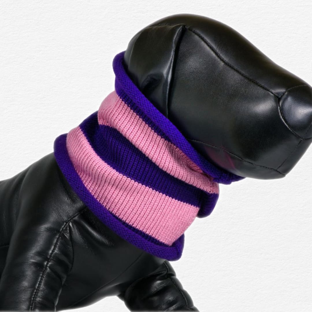 Indigo Pink Stripe Cotton Dog Snoodie