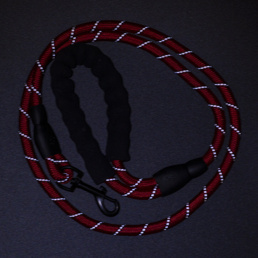 5ft Red Reflective Rope Dog Leash - Waggy Pups