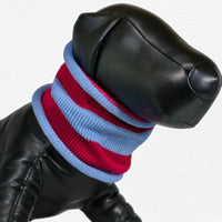Thumbnail for Glaucous Raspberry Stripe Cotton Dog Snoodie
