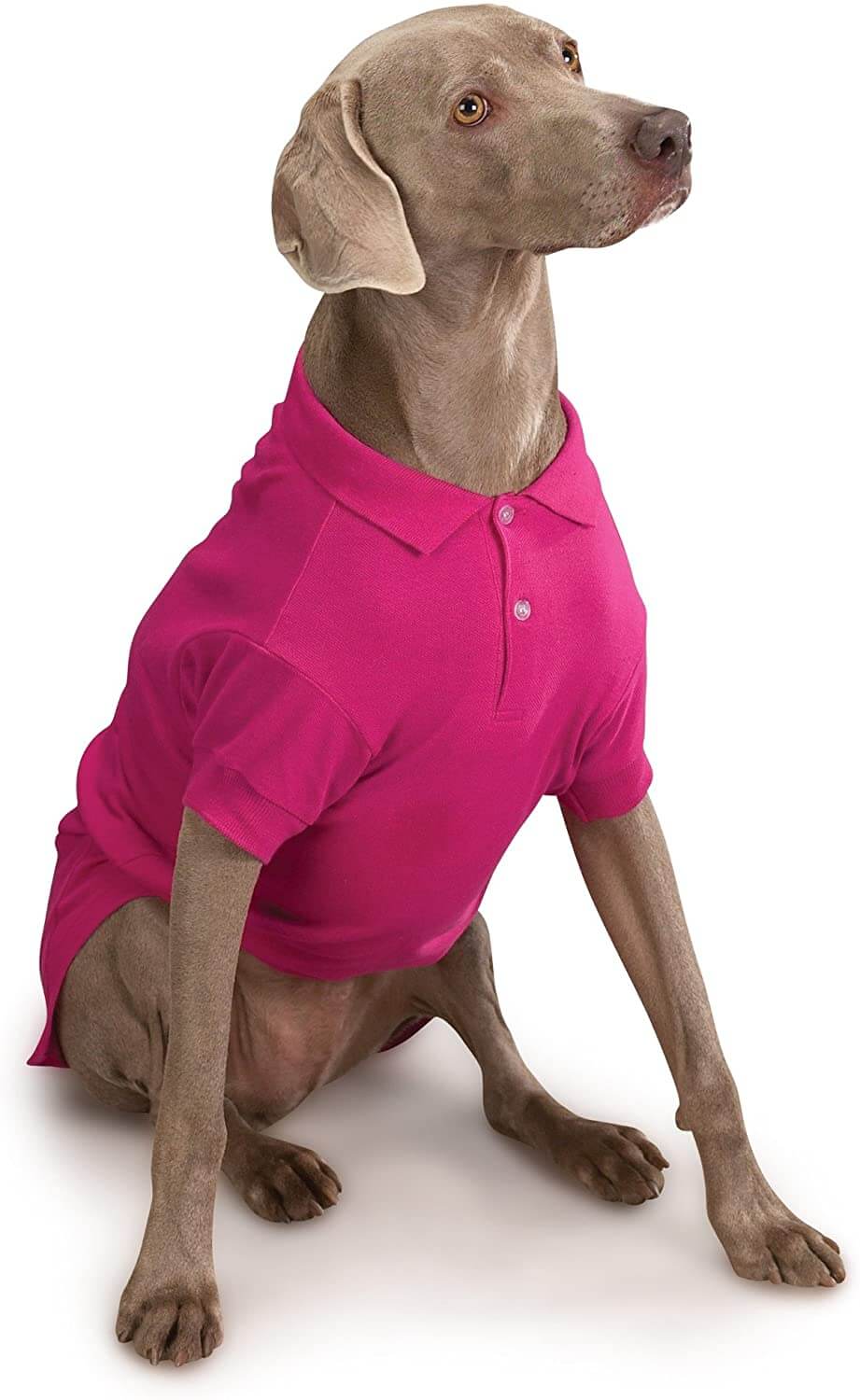 Raspberry Dog Polo Shirt